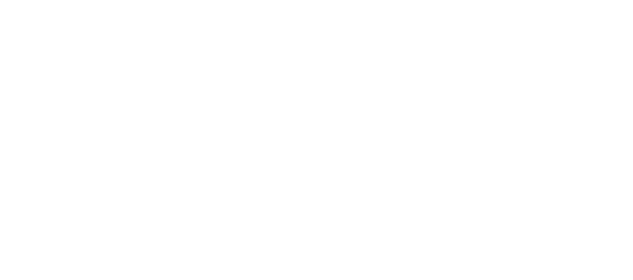 Flip logo white